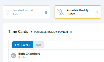 Chronotek Pro highlighting a possible buddy punch